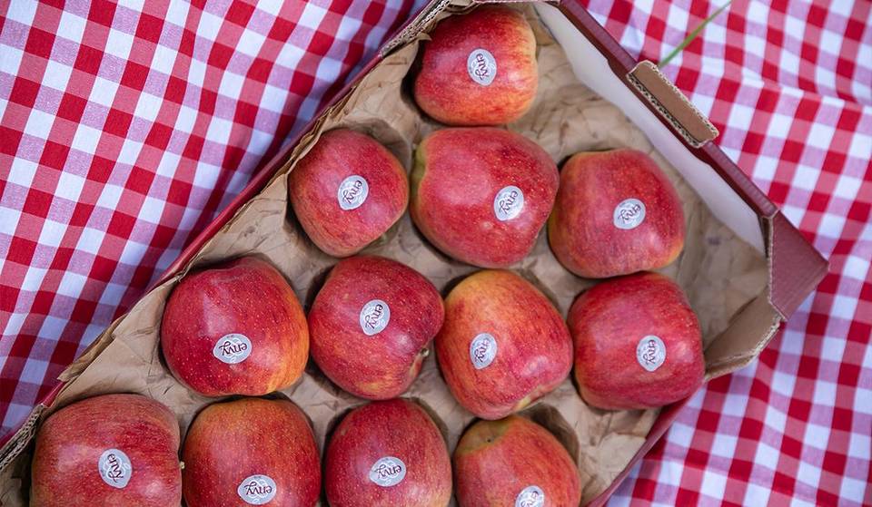 Manzanas Envy: la mayor tentación en el mejor festival de invierno