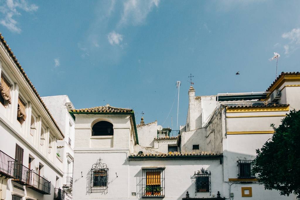 Reja del diablo