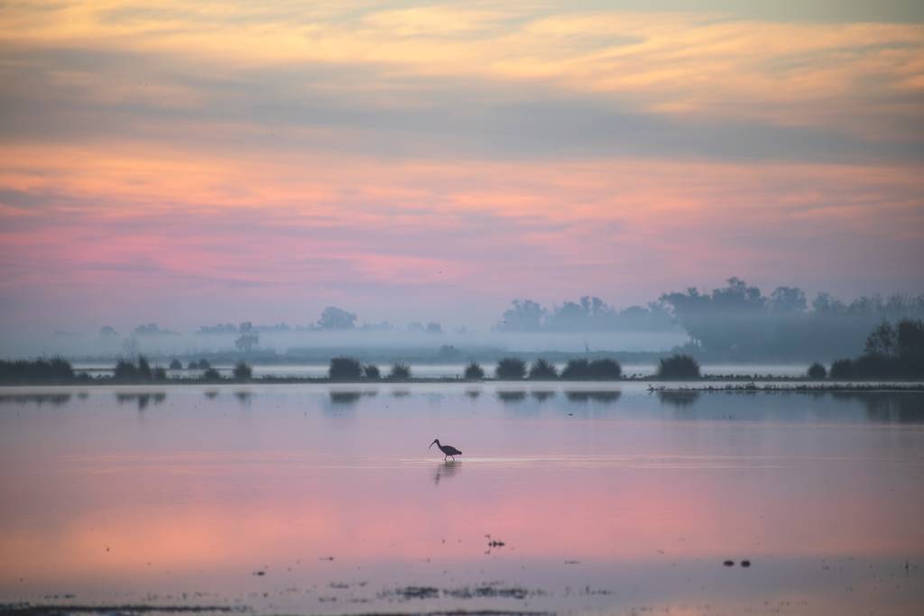 Parques Nacionales Andalucía