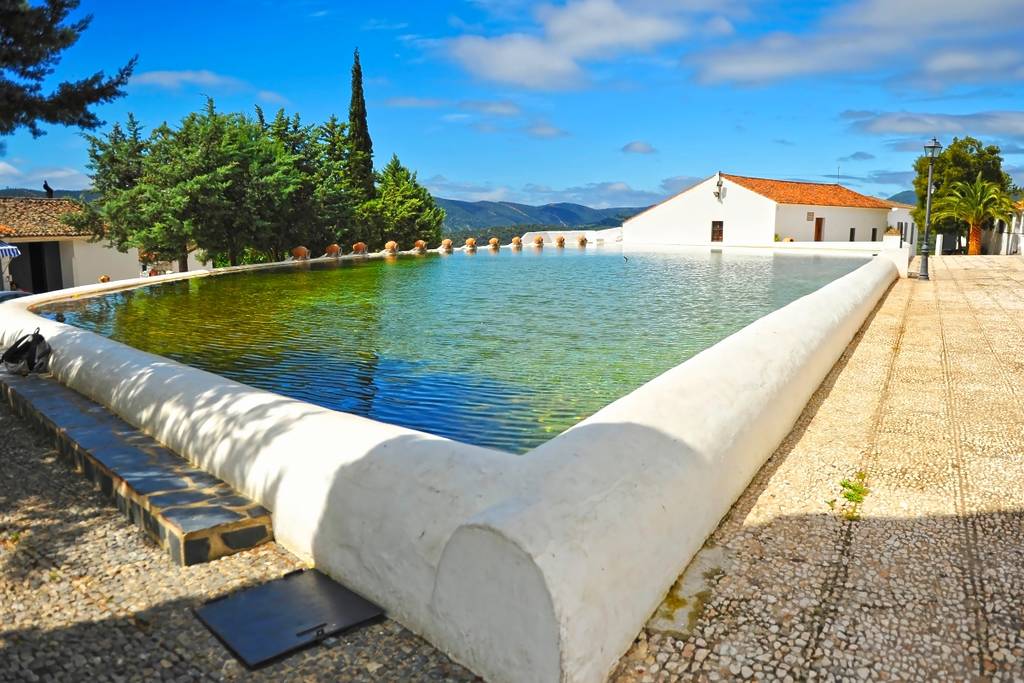PISCINA CAÑAVERAL DE LEÓN LAGUNA