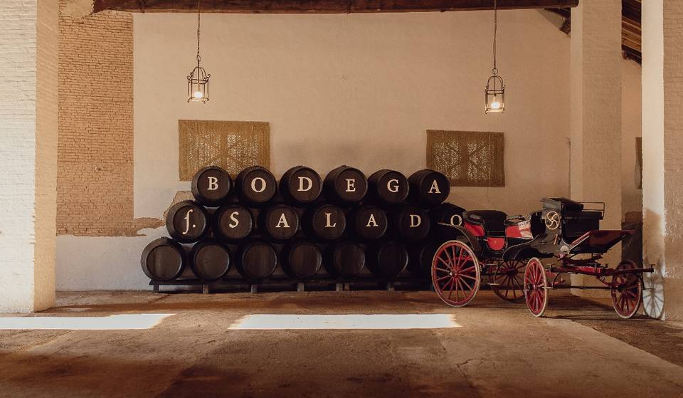 Bodegas Salado celebrates a day around the must in the province of Seville