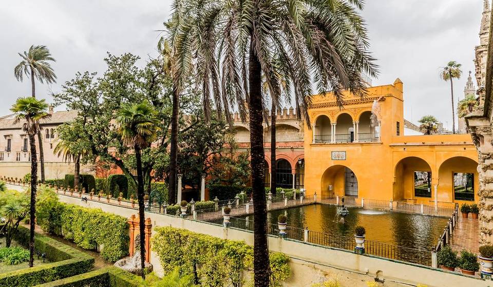 Closure of parks in Seville this Wednesday because of strong gusts of wind