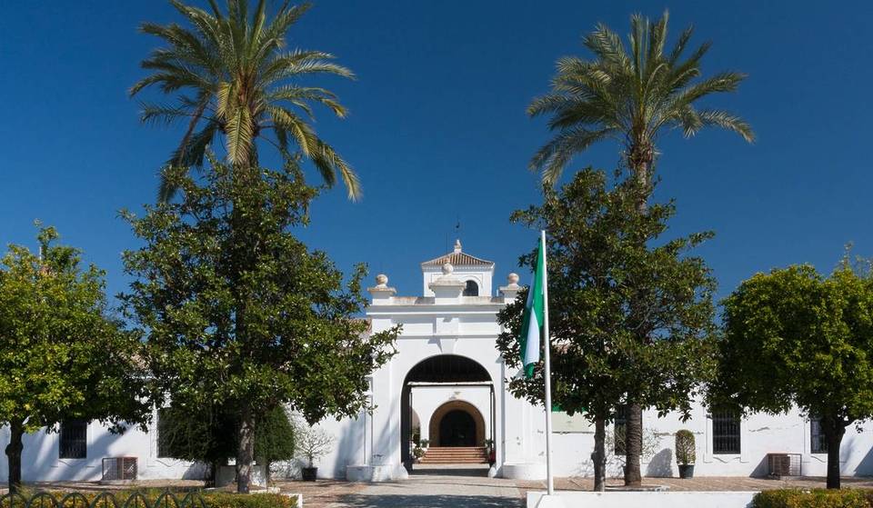 Summer cinema, musical bingo, magic nights and free workshops in the green lung of Seville
