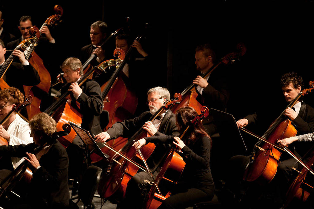Musicians from a symphony orchestra playing cellos and double basses during a concert in a closed hall.