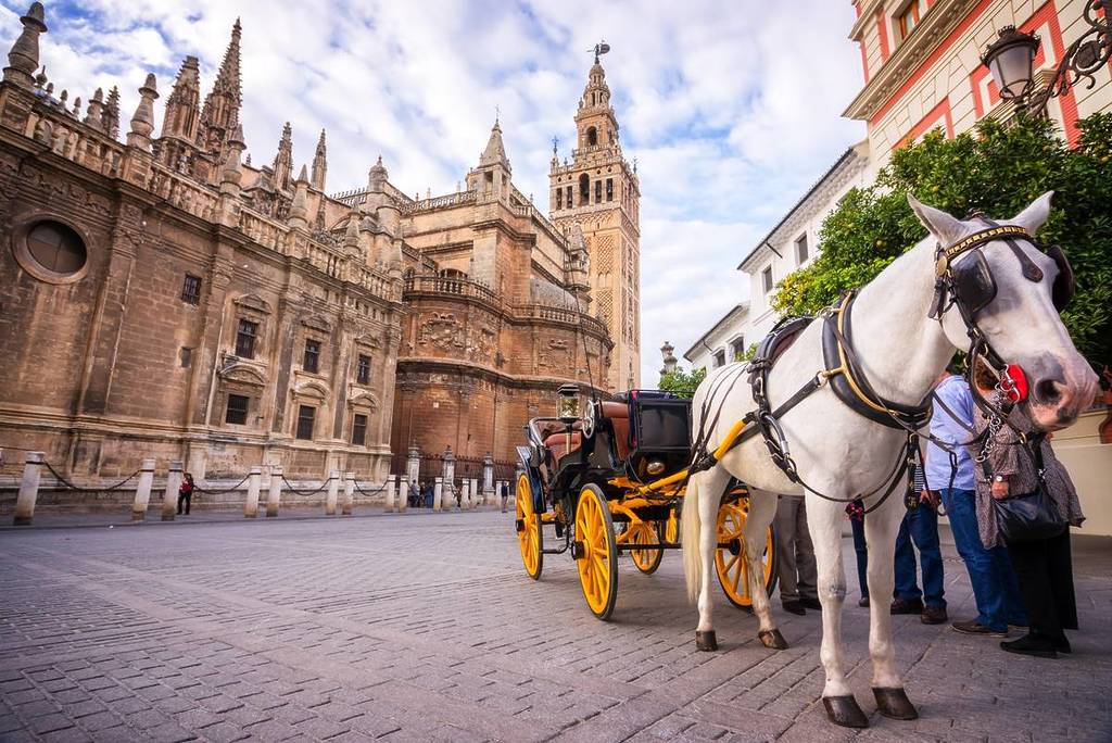 Coches de caballos Sevilla