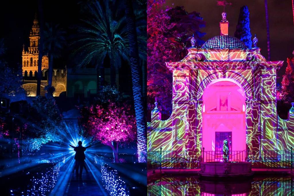 Naturaleza encendida Sevilla (1)