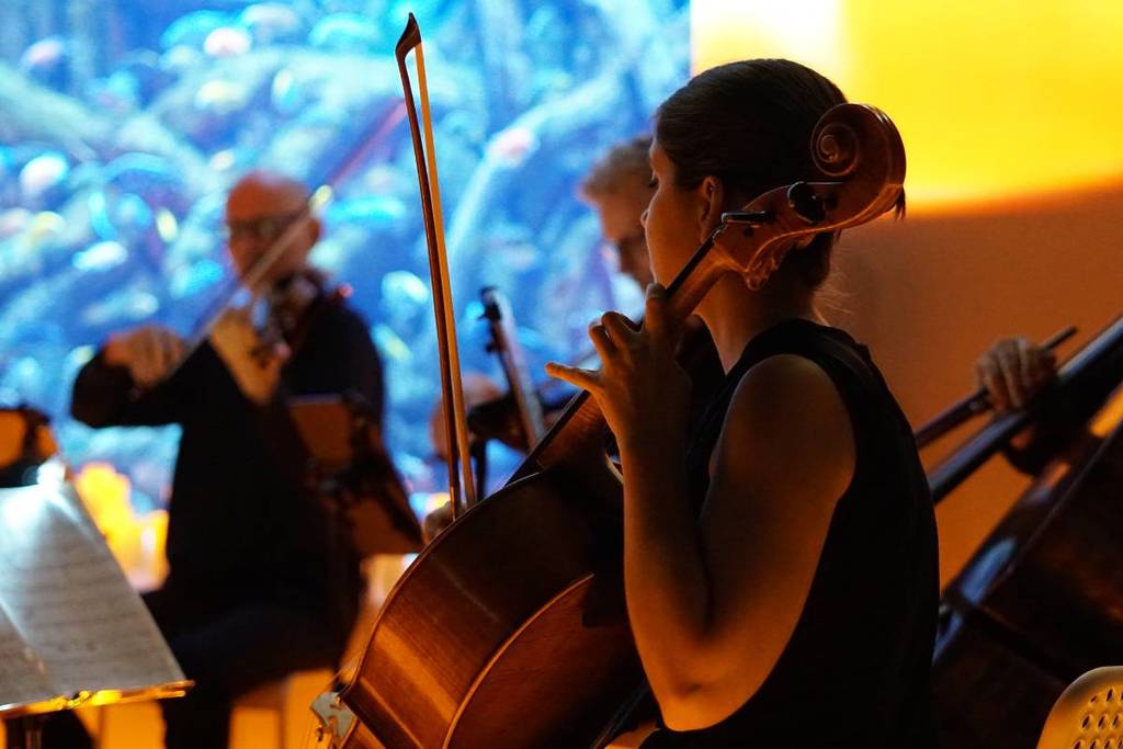 The music of Toy Story or Frozen, come to the Global Omnium Auditorium by the hand of Allianz and Candlelight