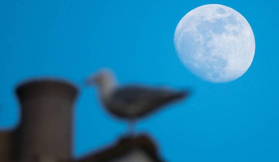 El fenómeno celeste más esperado de febrero ya tiene fecha: cuándo y a qué hora ver la ‘Luna de Nieve’ en Sevilla