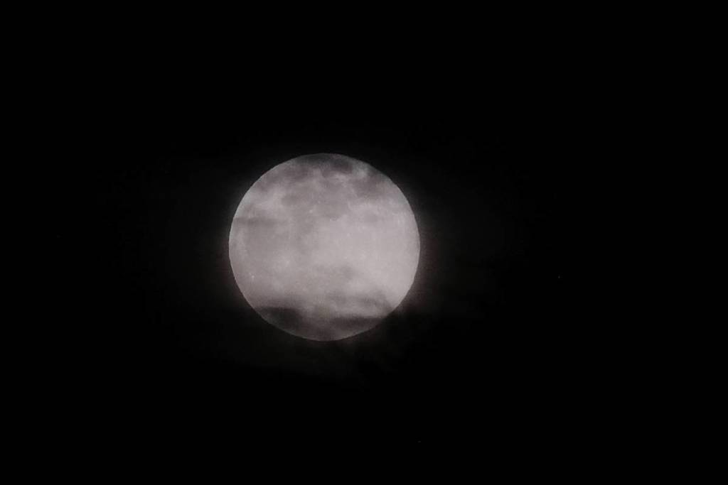 Luna de Nieve Sevilla
