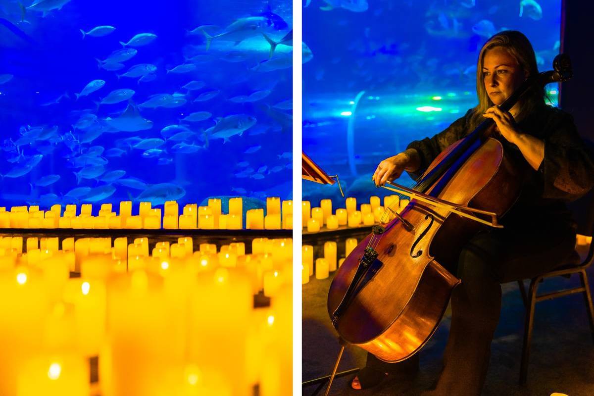 Concierto Candlelight en un acuario