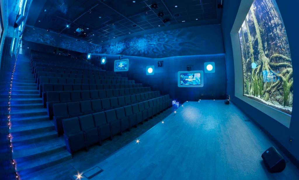 Des concerts sous l’eau, entourés de plus de 3 000 poissons à Séville : voilà l’auditorium avec aquarium qui transforme la musique live en une expérience immersive