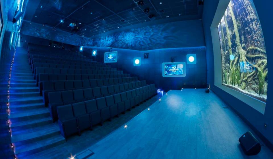 Conciertos bajo el agua y rodeados por más de 3.000 peces en Sevilla: así es el auditorio con acuario que transforma la música en directo en una experiencia inmersiva