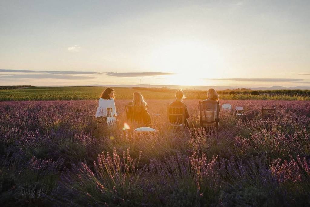 Finca Las Coronas campos lavanda Sevilla