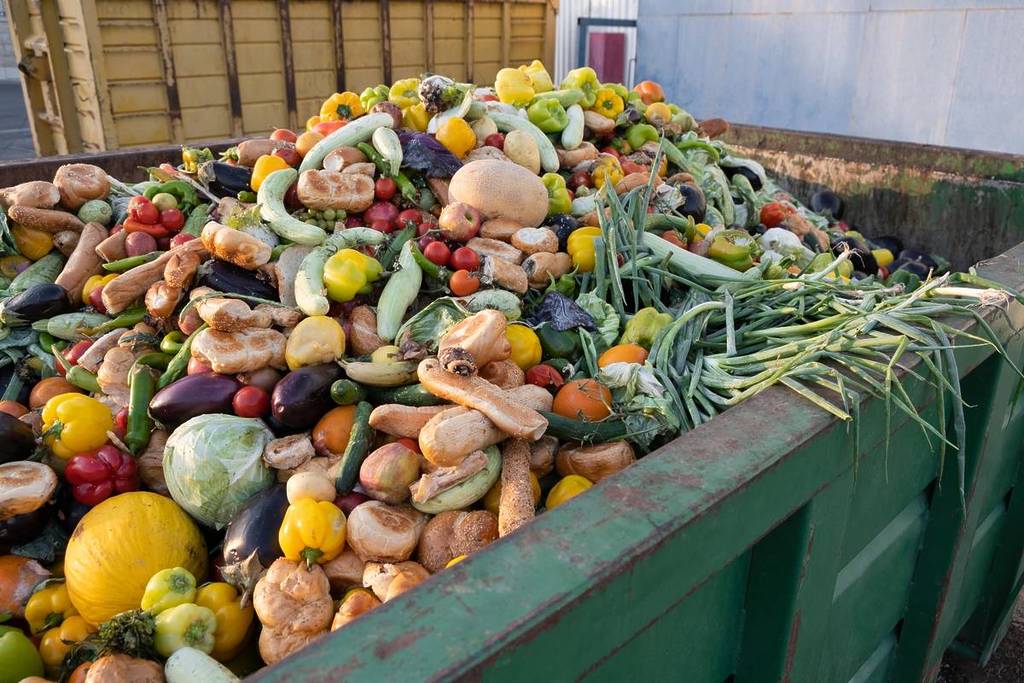 Law on food waste in Seville supermarkets