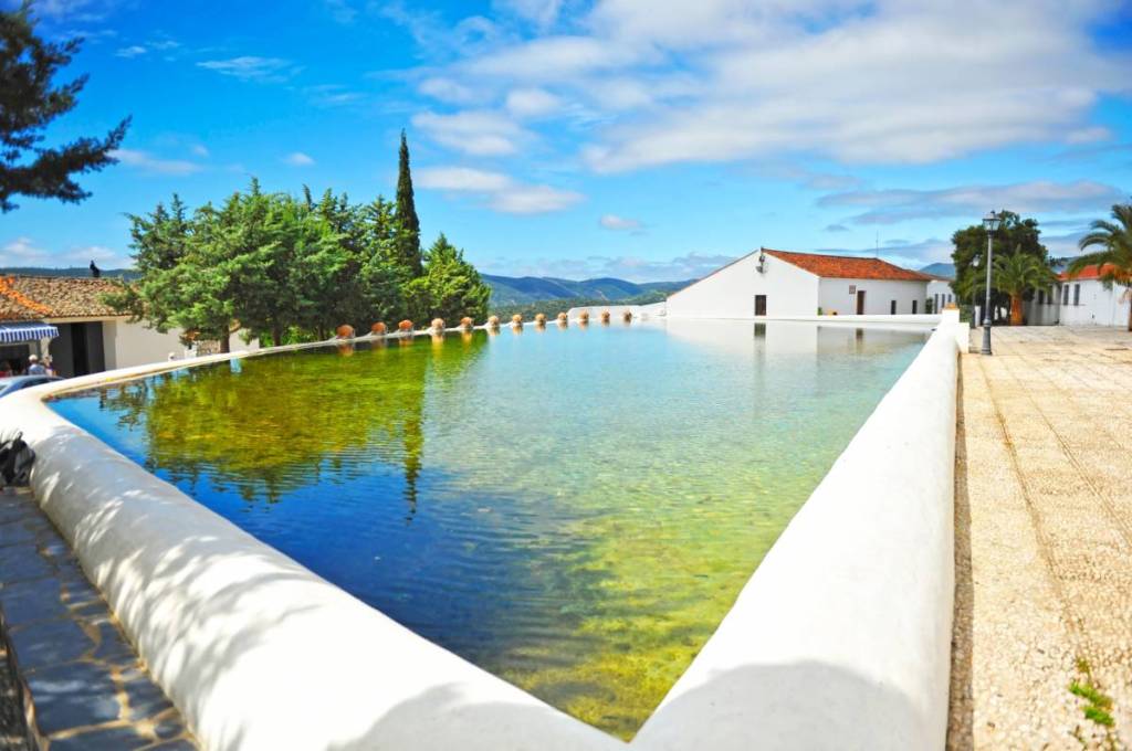 Cañaveral de León