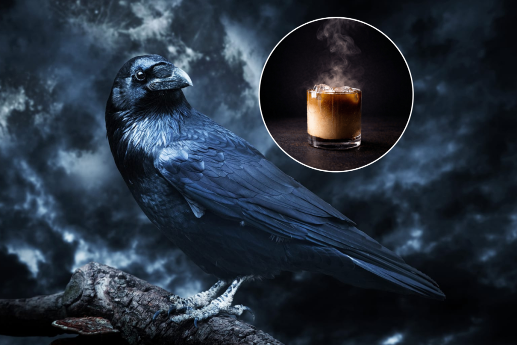 Gros plan sur un corbeau, en référence à l’une des histoires racontées à l’Edgar Allan Poe Speakeasy, et gros plan sur un cocktail.