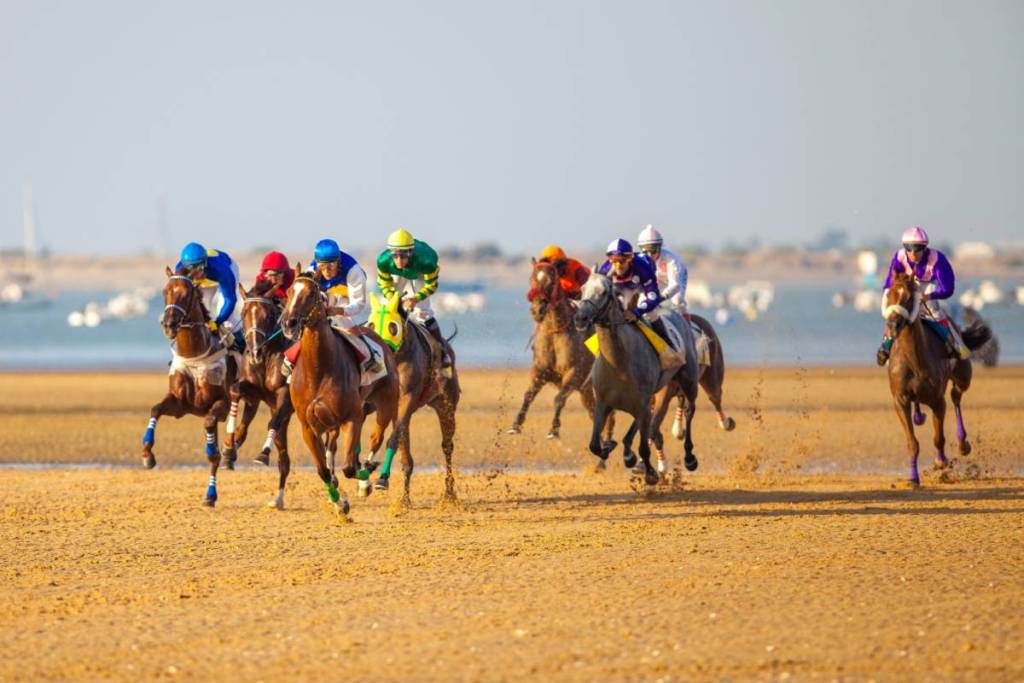 Courses hippiques de Sanlúcar de Barrameda