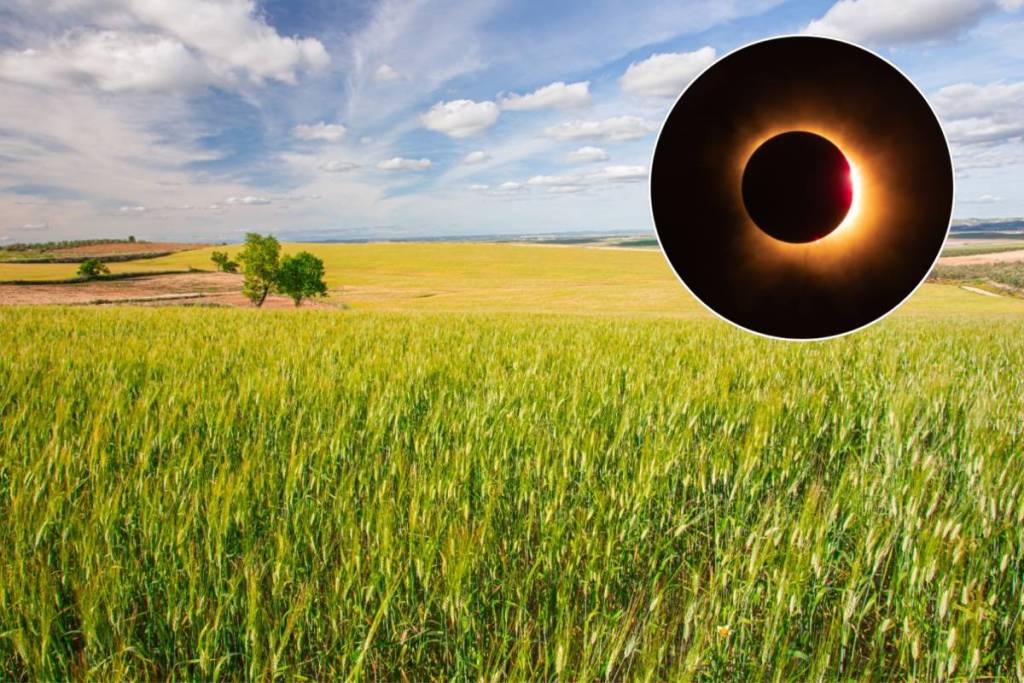 Historic Solar Eclipse in Huévar del Aljarafe: Free Certified Sunglasses in Seville
