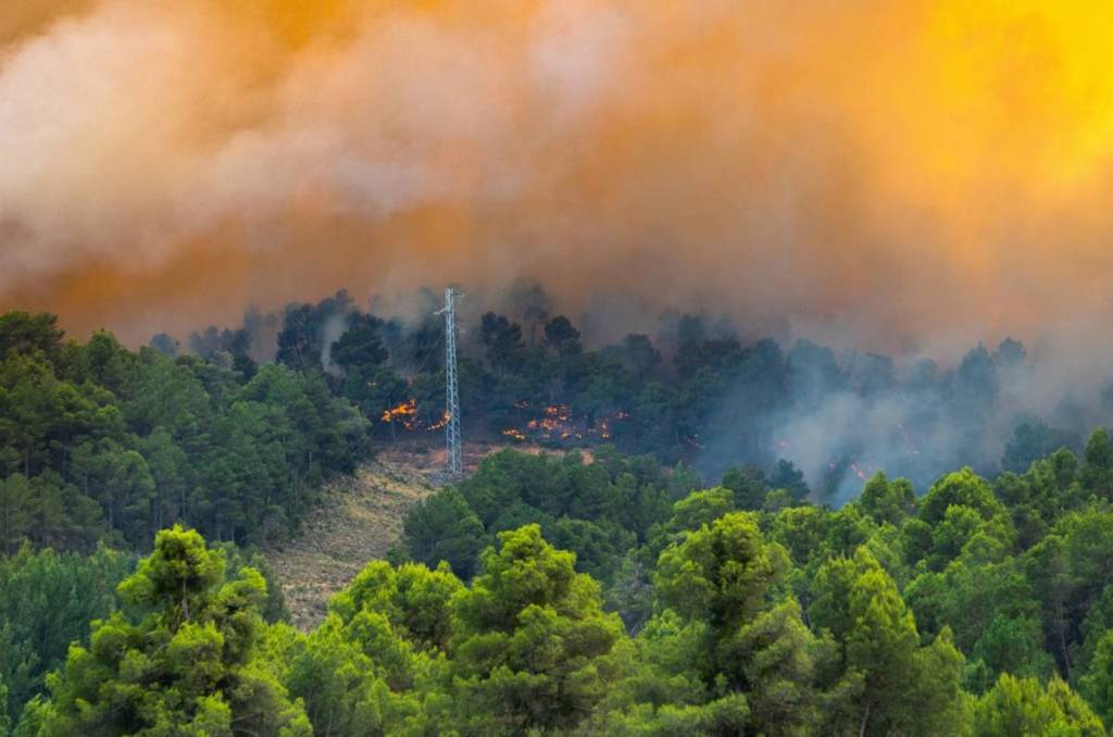 Routes coupées à cause d'un incendie à Huelva Niebla