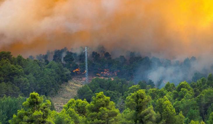 Les routes de Huelva qui restent coupées à cause de l’incendie de Niebla