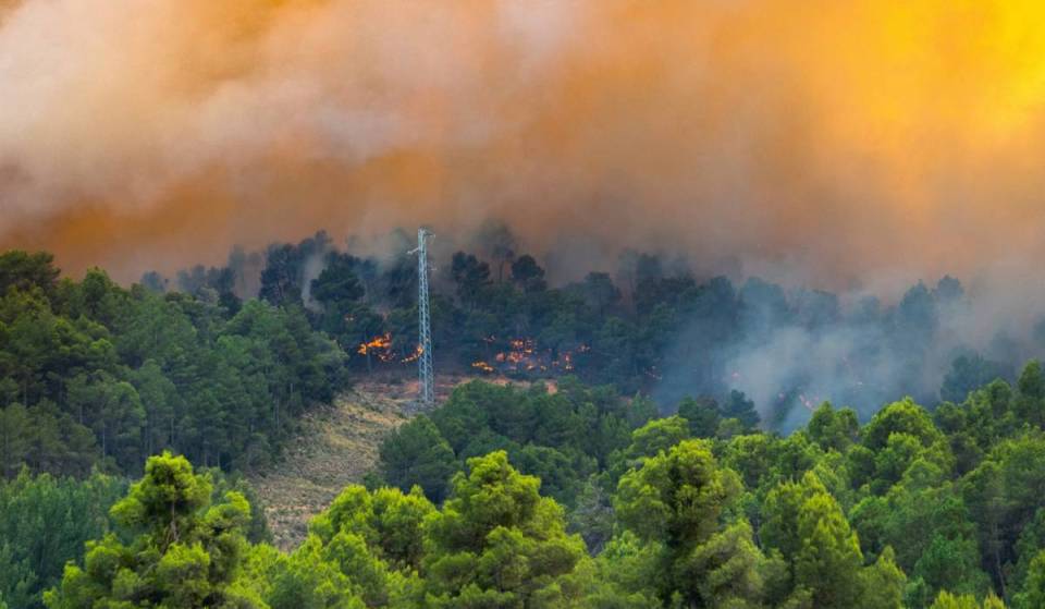 Les routes de Huelva qui restent coupées à cause de l&rsquo;incendie de Niebla