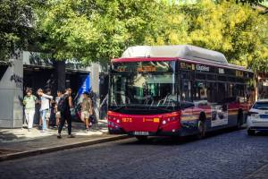 Adiós a las tarjetas turísticas tradicionales, Tussam lanza dos nuevas para 2027: todas las novedades sobre el transporte público en Sevilla