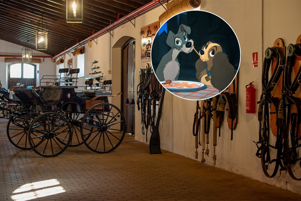 À une heure de Séville : le spectaculaire concert Disney à Jerez avec des calèches historiques, un quatuor à cordes et 15 bandes originales légendaires