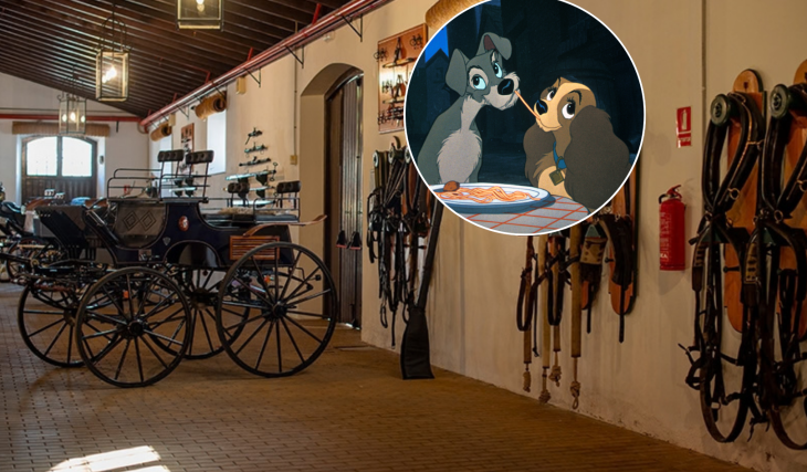 A una hora de Sevilla: el espectacular concierto de Disney en Jerez con carruajes históricos, un cuarteto de cuerda y 15 bandas sonoras míticas
