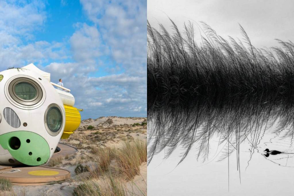 “NIDOS” Exhibition in Doñana