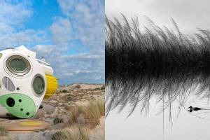 Doñana comes to downtown Seville with the free exhibition “NIDOS”: 109 previously unseen works and guided tours at the Patio de Banderas through 2027