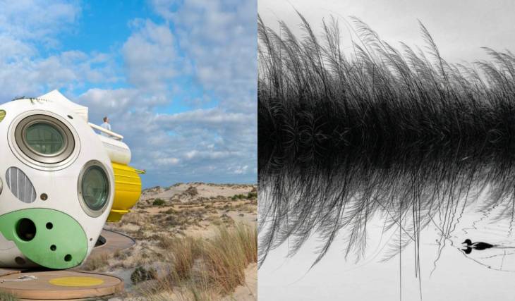 Doñana comes to downtown Seville with the free exhibition “NIDOS”: 109 previously unseen works and guided tours at the Patio de Banderas through 2027
