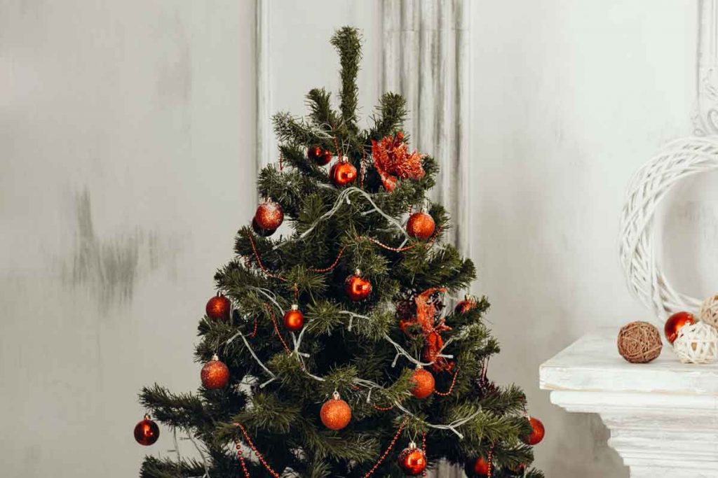 Árbol de Navidad Edo. Méx.