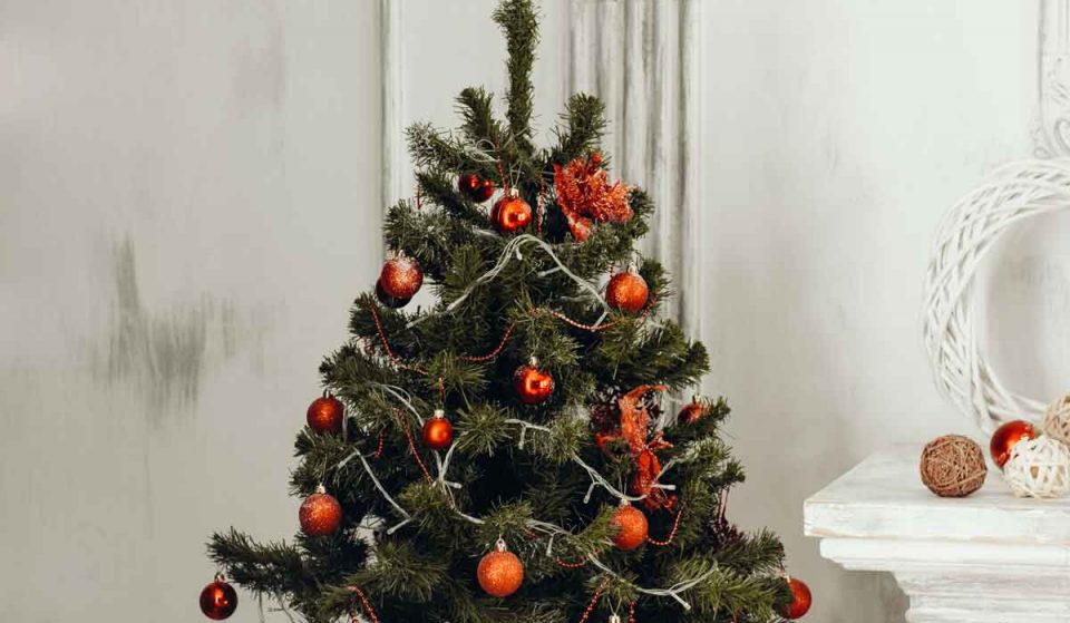 3 Lugares dónde puedes conseguir tu Árbol de Navidad en el Edo. Méx.