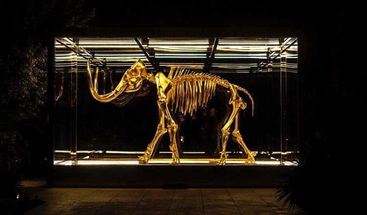 ¿Mamut en Ixtlahuaca? Ésta familia encontró restos en su patio