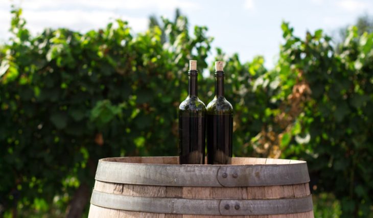 Baco Fest: ¡Vino, caballos, y más con entrada libre!