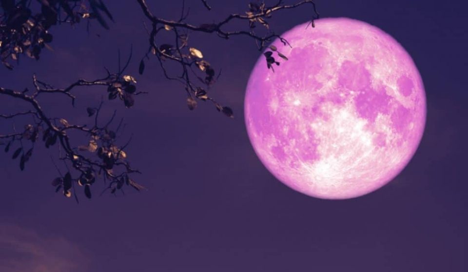 Il 16 aprile una bellissima Luna rosa illuminerà il cielo!