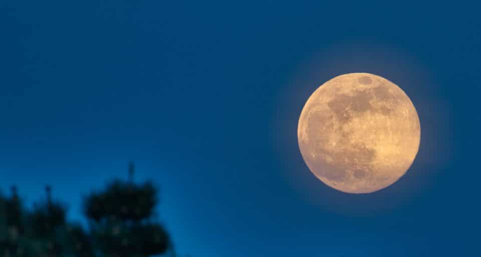 Questo mercoledì puoi vedere la “Superluna dei fiori”