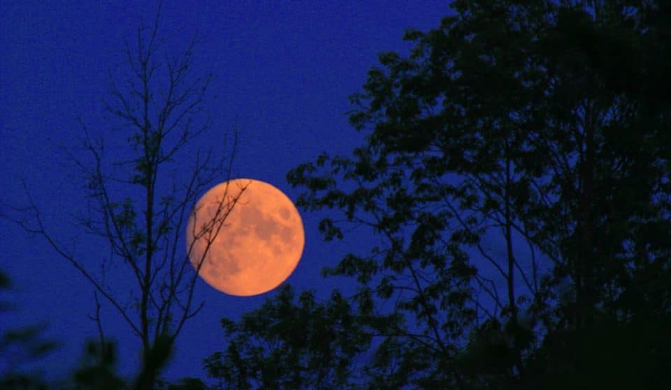 Nel cielo di ottobre splenderà la magica Luna del Cacciatore