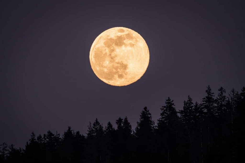Questa sera potrai ammirare la meravigliosa Superluna del Cervo