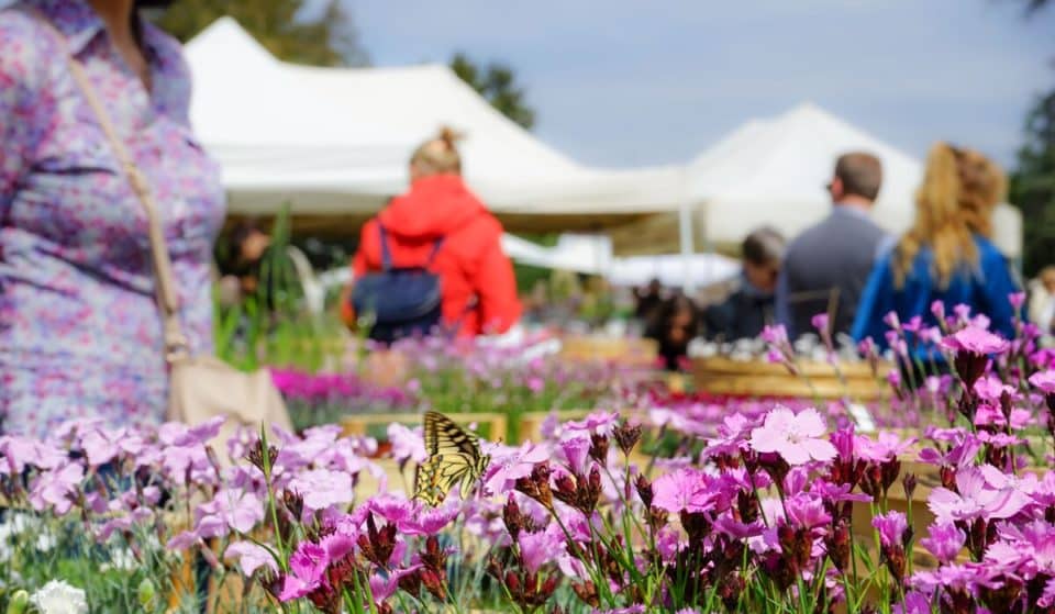 Tre giorni per il giardino: torna il prestigioso appuntamento dedicato al florovivaismo