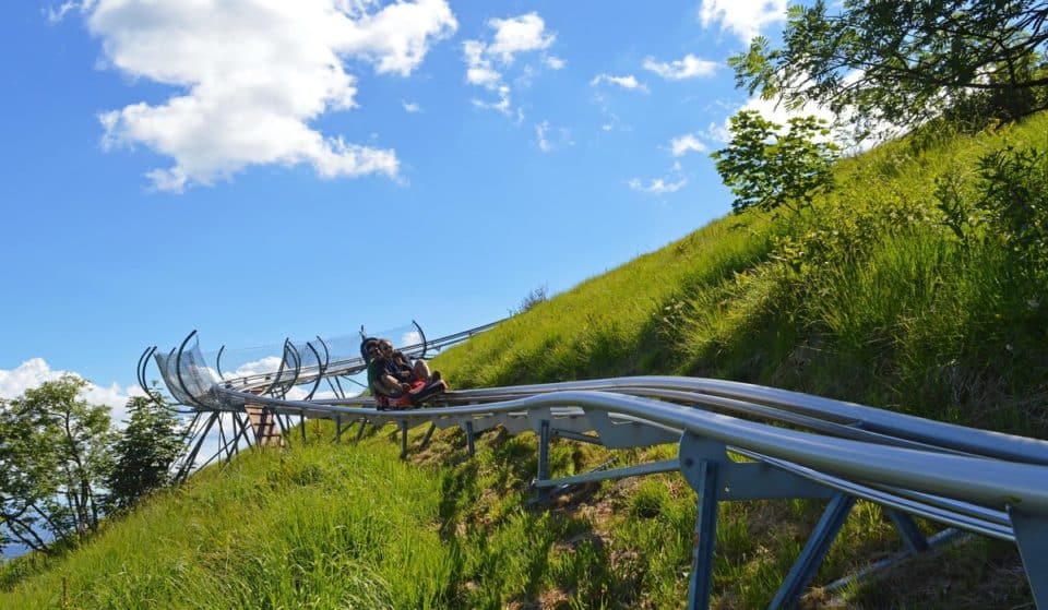 Alpyland: le montagne russe panoramiche a meno di due ore da Torino