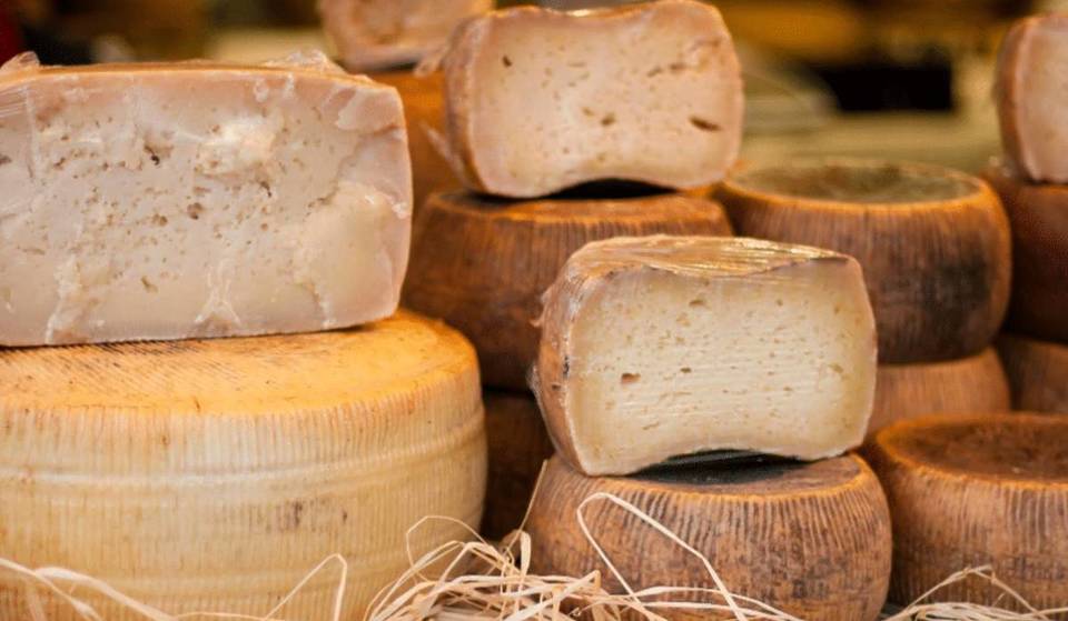 Toulouse&#8217;s best cheese dairies for the road to happiness