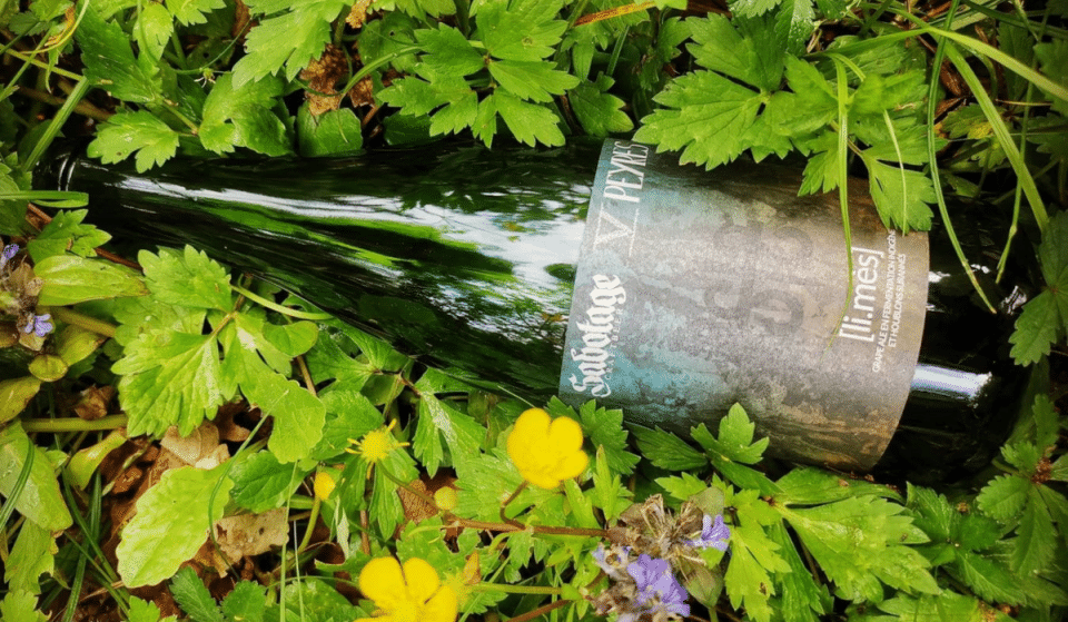 Ces brasseurs toulousains imaginent une bière à base de vin !