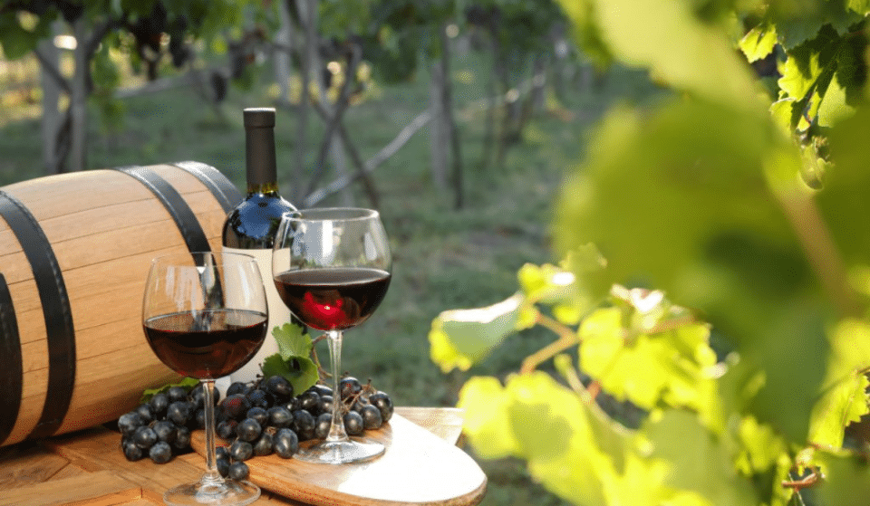 Alerte job de rêve : gagnez 8500€ par mois pour tester du vin et vivre dans un vignoble !