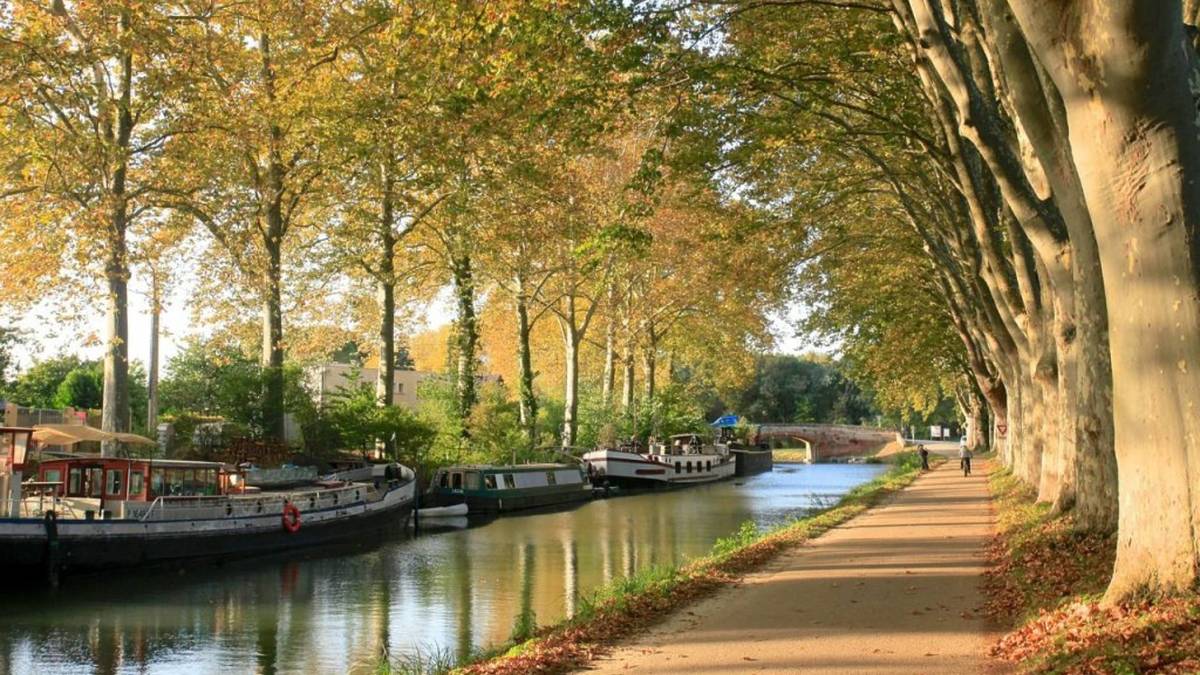 Les activités d’automne les plus cozy à faire à Toulouse