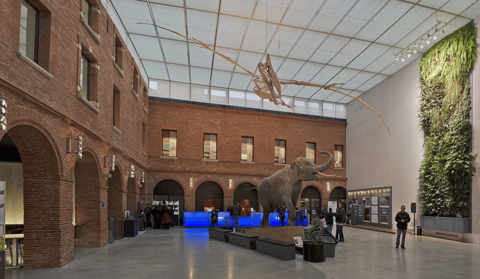 Toulouse: which museums are free on the 1st Sunday of the month?
