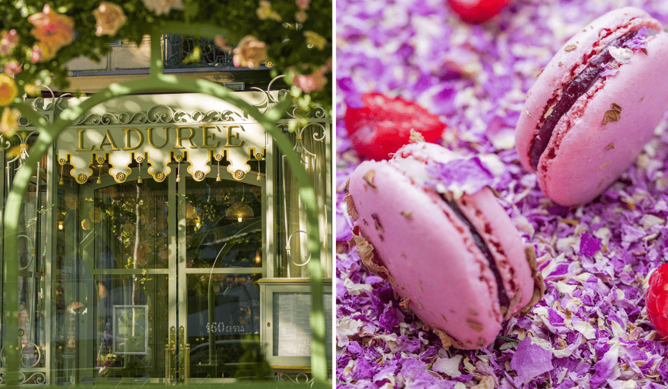 Une pâtisserie Ladurée va ouvrir à Toulouse !