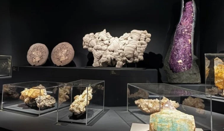 Le Muséum de Toulouse va exposer 290 minéraux rares, de l’or natif et le plus vieil instrument de musique au monde vieux de 18 000 ans
