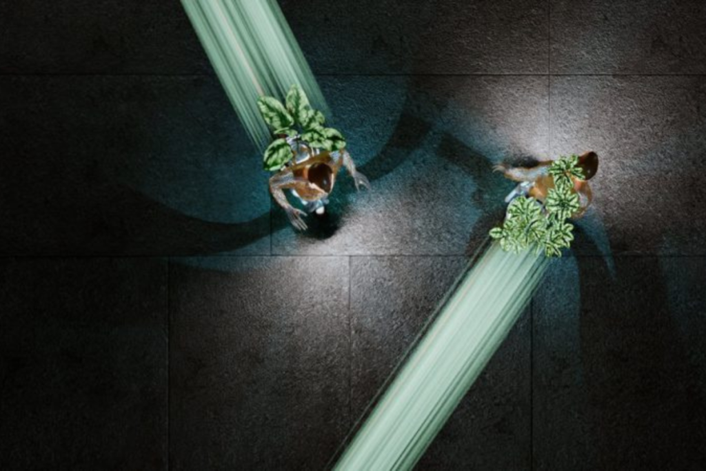 exhibitions toulouse abattoirs biomimicry
