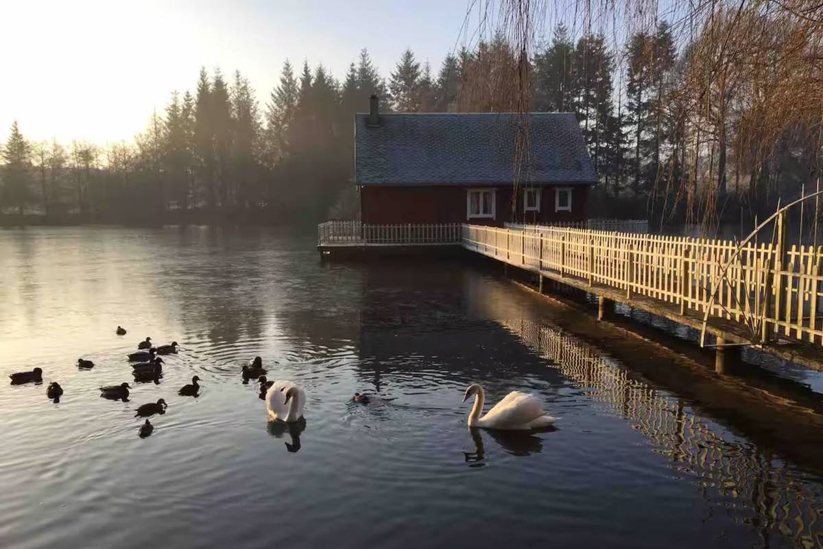 chalet de style finlandais